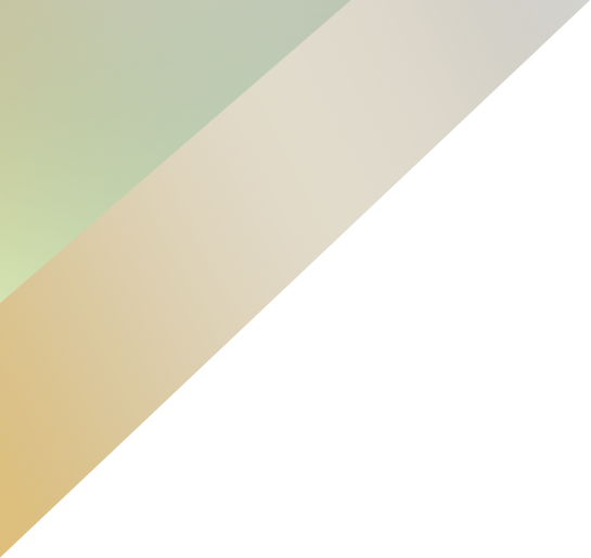 ContigoSenior elemento visual